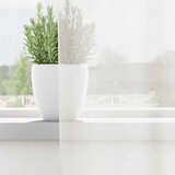 Voile zavjese s petljama 2 kom bijele 140x175 cm | Eponuda.ba
