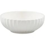 zdjela koste 26 cm