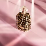 Revolution Creative toaletna voda 100 ml za ženske | Shoptok.si