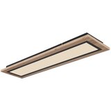 Globo STROPNA LED-SVETILKA //2700-6500 K/230 V/ | Shoptok.si