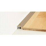 LOGOCLIC Završni profil (Mat plemeniti čelik, 0,9 m x 21 mm, Vrsta montaže: Vijci) | shoptok.hr