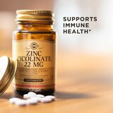 Solgar cink pikolinat A100 | ePonuda.com