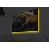 Wallity Slika sa LED osvetljenjem 4570MDACT-042, 45x70 cm | ePonuda.com