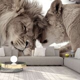  Samoljepljiva foto tapeta - Lion Tenderness (Sepia) 196x140 Cijene