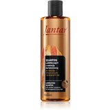 Farmona Jantar Amber Essence šampon za poškodovane lase s ceramidi 300 ml | Shoptok.si