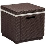 Allibert Prijenosni hladnjak Ice Cube (42 x 42 x 41 cm, Smeđe boje) | shoptok.hr