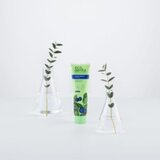 Ecodenta Pasta za Zube Protiv Plaka Blago Izbeljivanje Green line 100ml | | Ecobeauty | Eponuda.com