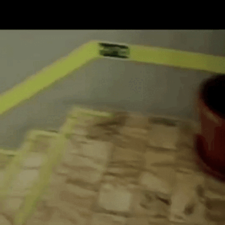  Svetleči trak LumiGlow | Shoptok.si