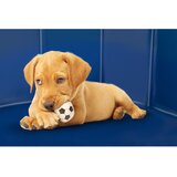  Bazen za pse 80x30cm | shoptok.hr