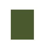OPI Nail Lacquer Wicked lak za nokte 15 ml | shoptok.hr