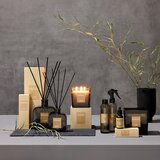 Inscent Dišava Za Prostor Zen Bamboo | Shoptok.si