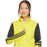 Adidas Squadra 25 sarena | shoptok.hr
