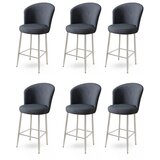 Hanah home Alte - Anthracite, Chrome AnthraciteChrome Bar Stool Set (6 Pieces) | ePonuda.com