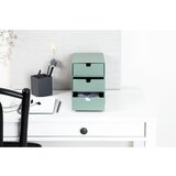 Bigso Box of Sweden Kartonast organizator za predale Ingrid – | Shoptok.si