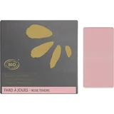- 01 Rose Tendre