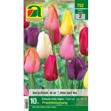 AUSTROSAAT Preprosti zgodnji tulipani "čudovita mešanica" | Shoptok.si