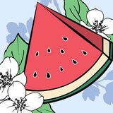 Mexx fresh Splash toaletna voda 50 ml za žene | shoptok.hr