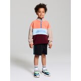 Sinsay Flis majica half-zip Active | shoptok.hr