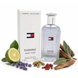 Tommy Hilfiger Tommy New York toaletna voda za muškarce 100 ml | shoptok.hr