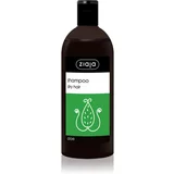 Ziaja Family Shampoo šampon za suhe lase in lase brez sijaja z aloe vero 500 ml