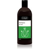 Ziaja Family Shampoo šampon za suhu kosu bez sjaja s aloe verom 500 ml Cijene