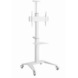 Gembird TVS-70T-02-W Aluminijasto talno stojalo za TV s kolesi 37-70 Bel | Shoptok.si