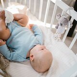 BabyOno viseća igračka koala Coco | shoptok.hr