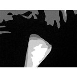  Ručno slikane slike na platnu pop art frank sinatra | ePonuda.com