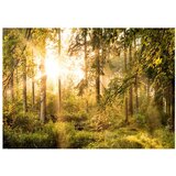  Samoljepljiva foto tapeta - Mystic of the Morning 294x210 | shoptok.hr