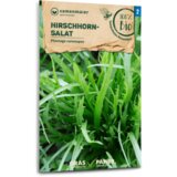 Samen Maier Solata jelenji rogovi | Shoptok.si