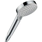 Hansgrohe 26270000 Vernis Blend 100 Vario tuš ročka 2 funkciji Cene