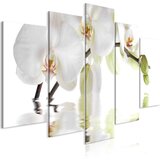  Slika - Wonderful Orchid (5 Parts) Wide 200x100 Cijene