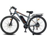 Cheevalry Treking električno kolo C29, 750 W 48 V 18,2 Ah, sivo, (21960425) | Shoptok.si