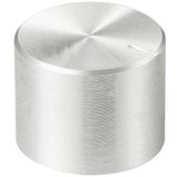 TRU COMPONENTS TC-11613868 okretni gumb s gumbom za obilježavanje srebrna (Ø x V) 17 mm x 13 mm aluminij, plastika 1 S | Eponuda.ba