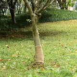 vidaXL Rola jute 0 25x25 m 100 % juta 200 g/m&sup2; cijene