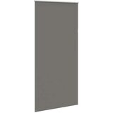 vidaXL Rolo zatemnjena siv 100x210 cm tkanina širina 95,7cm poliester | Shoptok.si