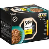 Sheba Večkratno pakiranje različice pladnji 12 x 85 g - Selection v omaki (piščanec in puran; piščanec; perutnina; puran) Cene