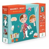  Magnetna Igra - Tijelo | Eponuda.ba