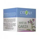 Mast od gaveza