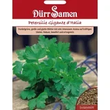 Peteršilj "Gigante d'Italia" - 1.500 zrn.