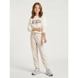 Sinsay Donji dio trenirke basic | shoptok.hr