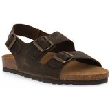 Bioline Natikači 880 INGRASSATO MARRONE Kostanjeva Cene