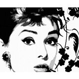  Ručno slikane slike na platnu POP Art Popust Audrey Hepburn | shoptok.hr