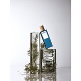 Loewe 7 toaletna voda za moške 50 ml | Shoptok.si