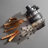 Viktor&Rolf spicebomb edt 50ml
