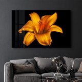 Wallity slika CAM-5025, 70x110cm | ePonuda.com