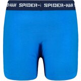 Licensed Bokserice za dječake | Eponuda.ba