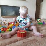 Kruzzel drvena igra Jagoda s magnetskim štapom i 10 crvića | shoptok.hr