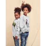 Fruit Of The Loom Light grey Raglan Sweat | Shoptok.si