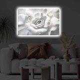 Wallity Slika sa LED osvetljenjem 4570KTLGDACT - 024, 45x70 cm Cene